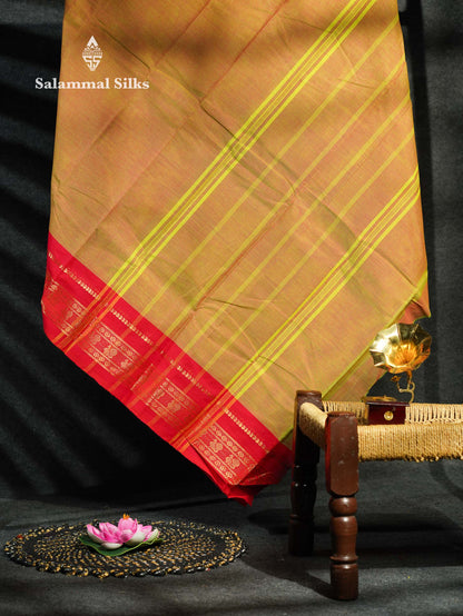 Beautiful Grey Plain Pure Chettinad Cotton Saree With Traditional Navy Blue Border