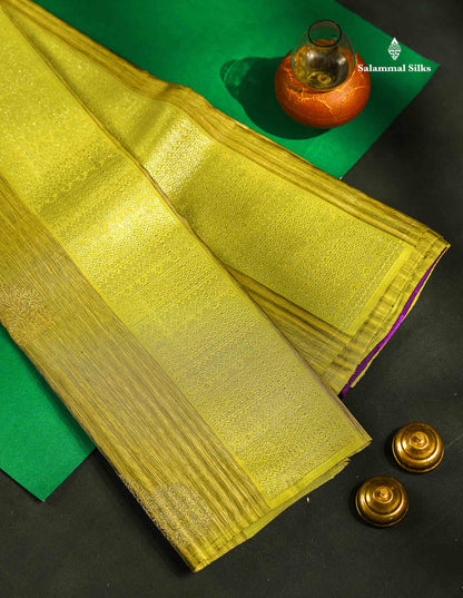 Beautiful Pista Green Fancy Pure Kanjivaram Silk Saree With Contrast Dark Purple Blouse