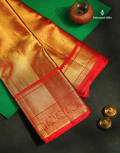 Beautiful Red With Gold Tissue Bridal Pure Kanjivaram Silk Saree With Traditional Evening Morning Border