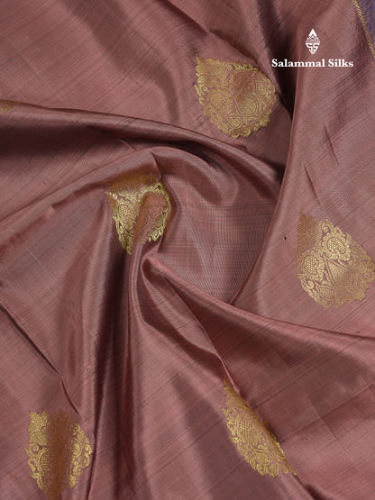 Beautiful Chocolate Pure Kanjivaram Silk Saree With Contrast Navy Blue Traditional Border