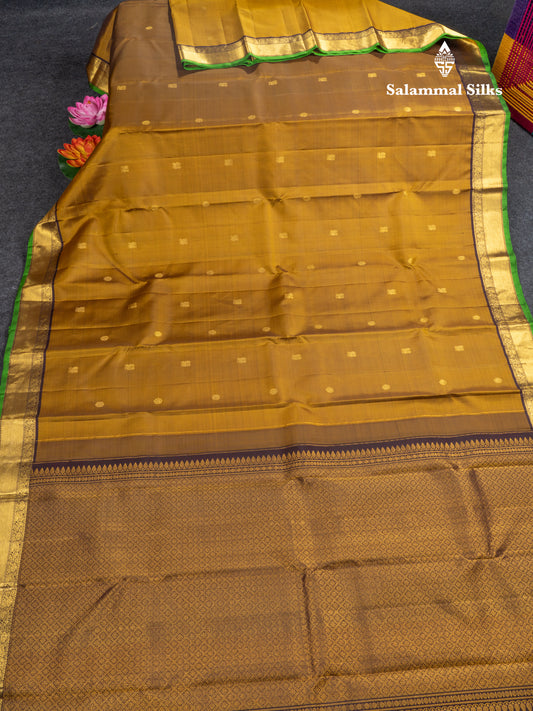 Olive Mustard Yellow Pure Kanjivaram Silk Saree With Contrast Dark Brown Small Border