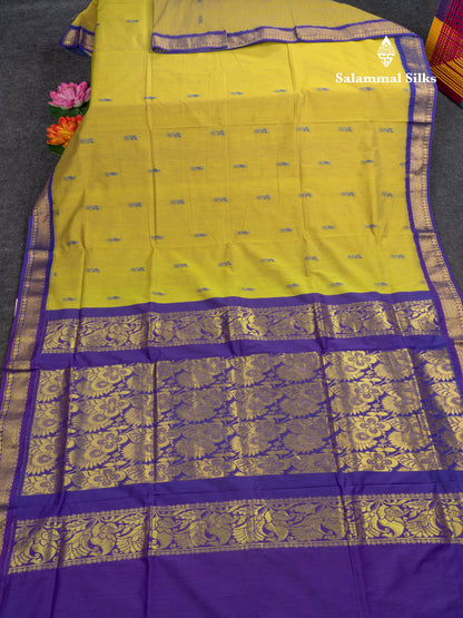 Manthulir Green Kalyani Cotton Saree With Contrast Violet Border