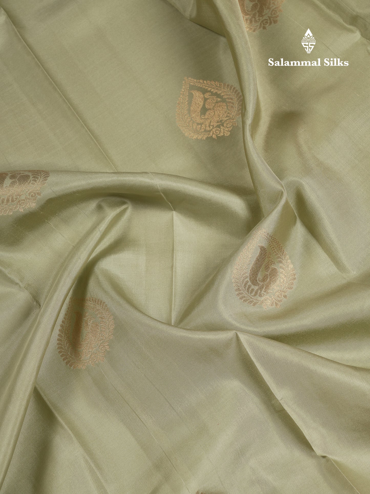 Beautiful Light Pista Green Pure Kanjivaram Silk Saree with Contrast Chilly Red Traditional Pallakku Border
