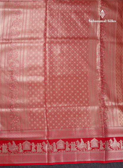 Beautiful Light Green Tissue Silk Mix Saree With Contrast Vadamalli Traditional Pallaku Evening Morning Border