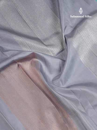 Beautiful Blueish Grey Fancy Pure Kanjivaram Pure Silk Saree With Contrast Rexona Blouse