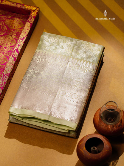 Beautiful Light Elaichi Green Semi Silk Saree With Traditional Evening Morning Border