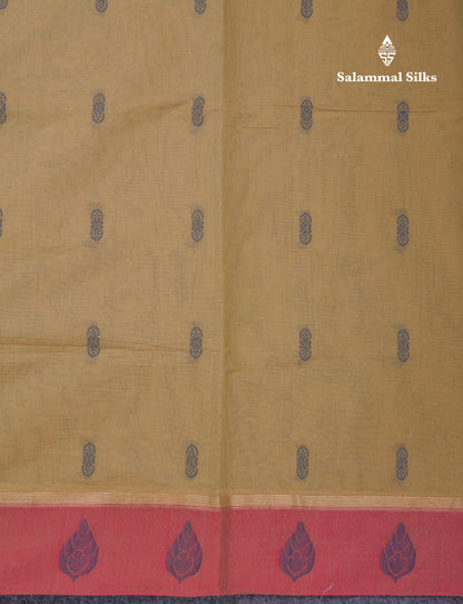 Beautiful Beige Thread Work Buttas Pure Cotton Saree With Contrast Light Maroon Border