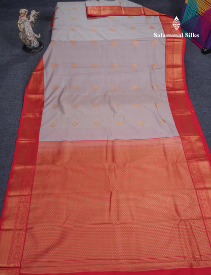 Light Grey Beautiful Semi Silk Saree With Contrast Red Border