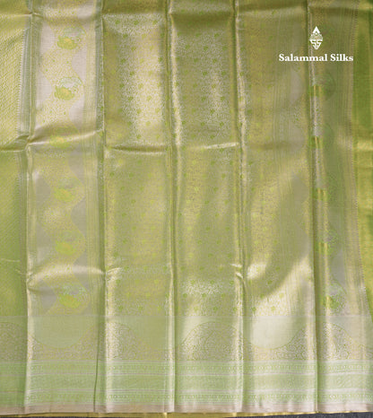 Beautiful Parrot Green Tissue Semi Silk Saree With Fancy Evening Morning Border