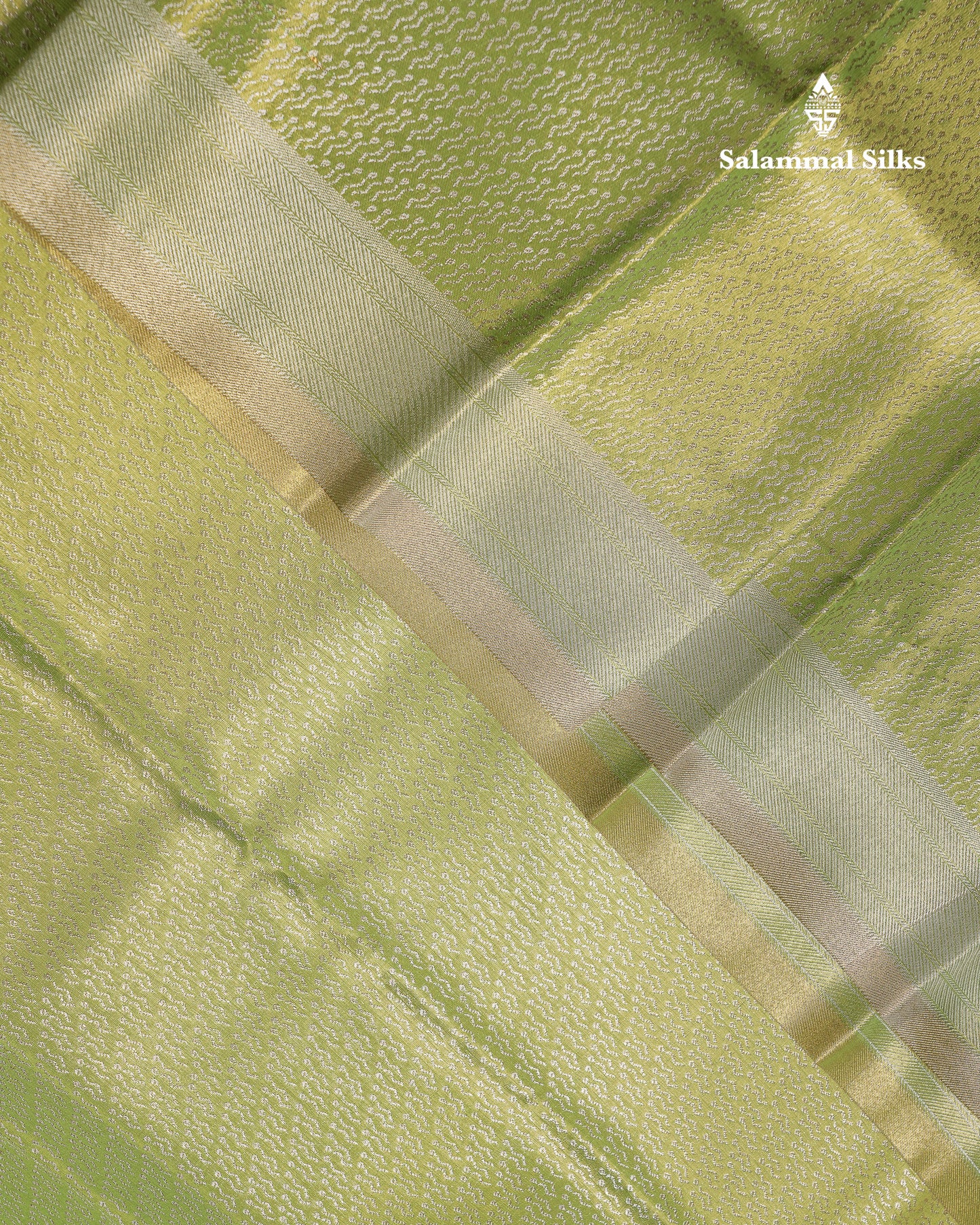 Beautiful Parrot Green Tissue Semi Silk Saree With Fancy Evening Morning Border