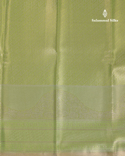 Beautiful Parrot Green Tissue Semi Silk Saree With Fancy Evening Morning Border