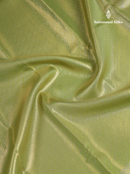 Beautiful Parrot Green Tissue Semi Silk Saree With Fancy Evening Morning Border