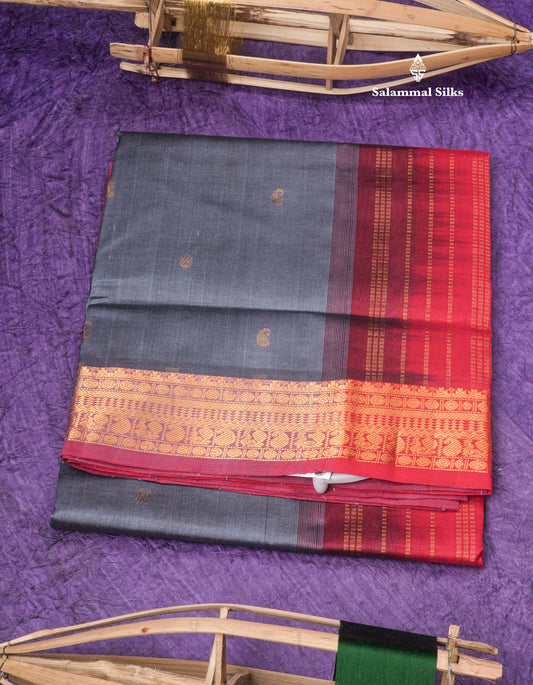 Grey Pure Silk Cotton Saree With Gold Zari Traditional Border