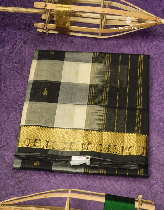 Paalum Pazham Checks Pure Silk Cotton Saree With Traditional Gold Zari Border