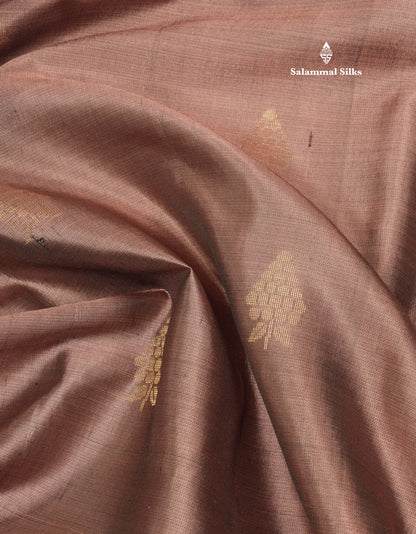 Beautiful Light Brown Pure Kanjivaram Soft Silk Saree With Contrast Rama Blue Small Border
