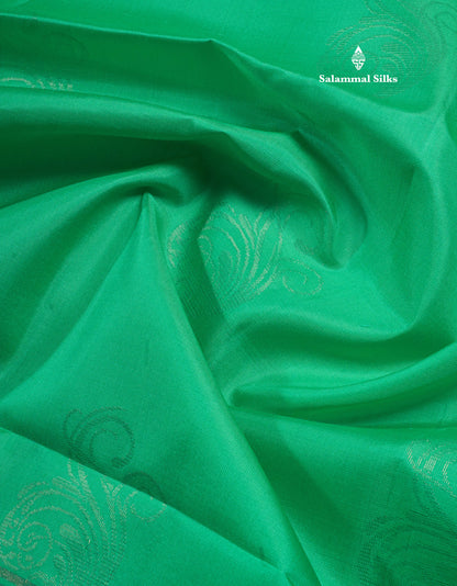 Beautiful Light Green Pure Kanjivaram Soft Silk Saree With Contrast Rexsona Border