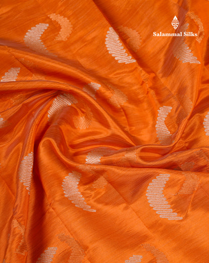 Beautiful Blue Semi Raw Silk Saree With Fancy Border