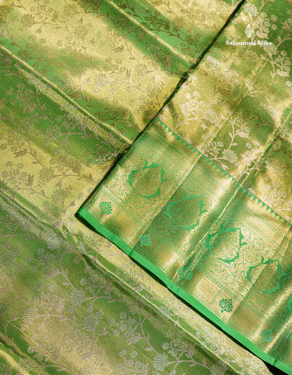 Beautiful Light Green Tissue Bridal Pure Kanjivaram Silk Saree With Contrast Rexona Green Traditional Evening Morning Border