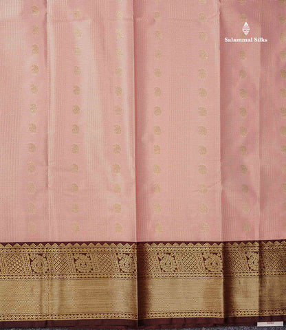 Semi Silk Saree - Light Pista Green Mango Butta With Checks Along With Contrast Dark Brown Traditional Gap Border