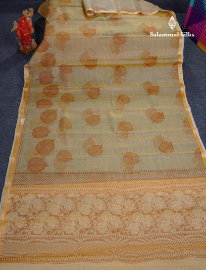 Sandal Printed Kota Cotton Saree With Small Ribbon Border