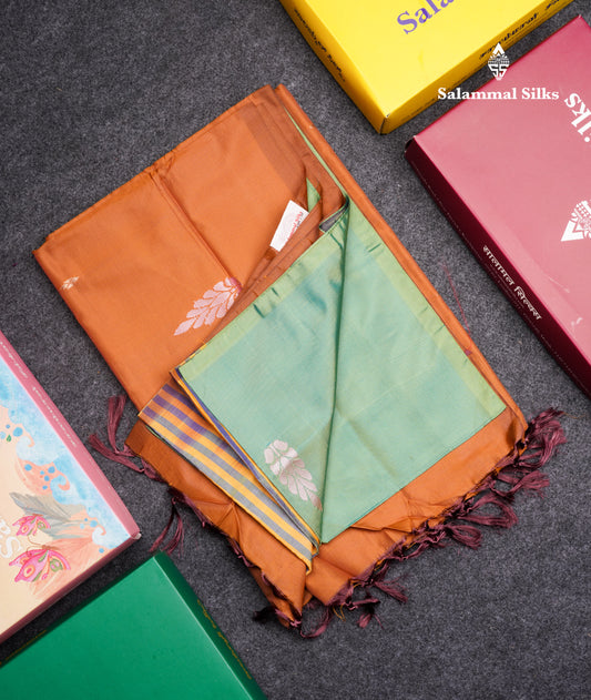 Light Green Banana Pinth Saree (Vaazhainaar Pattu) With Contrast Brown Blouse