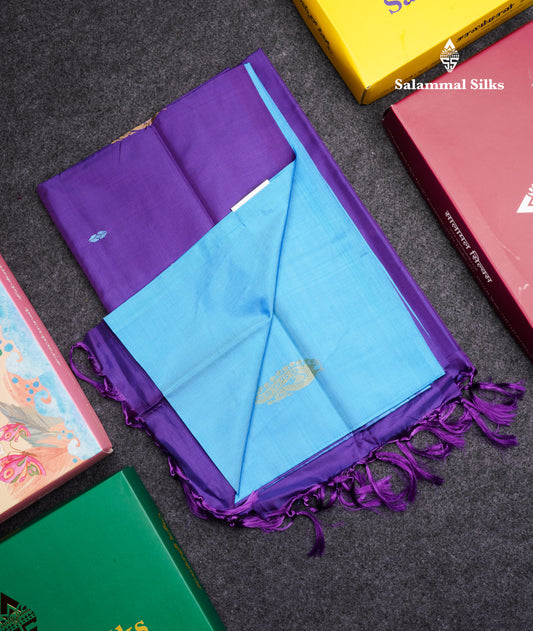 Sky Blue Banana Pinth Saree (Vaazhainaar Pattu) With Contrast Violet Blouse
