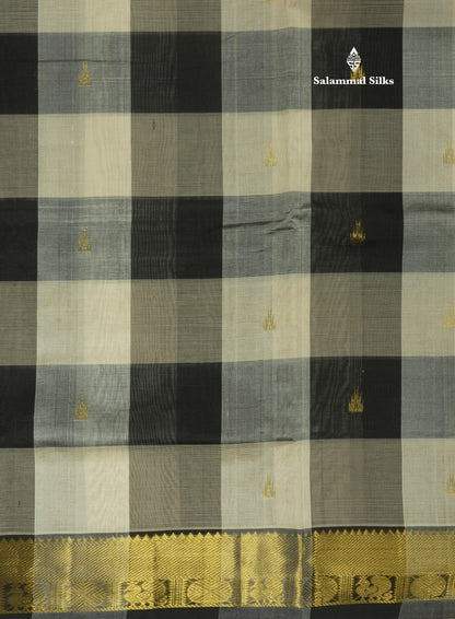 Paalum Pazham Checks Pure Silk Cotton Saree With Traditional Gold Zari Border