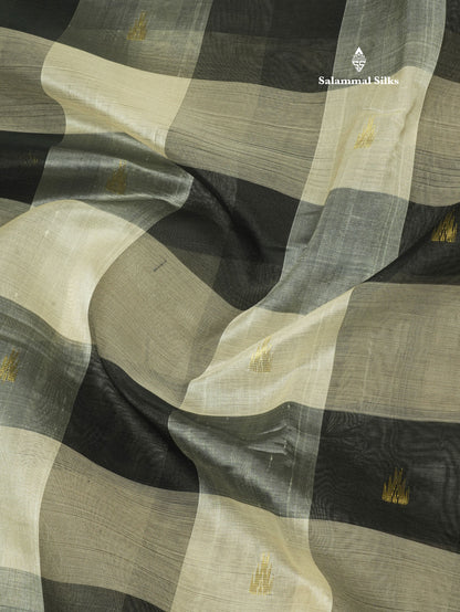 Paalum Pazham Checks Pure Silk Cotton Saree With Traditional Gold Zari Border