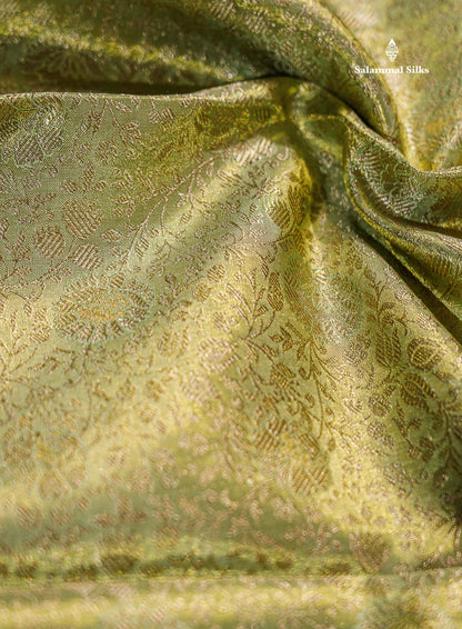Light Parrot Green Tissue Bridal Pure Kanjivaram Silk Saree With Contrast Magenta Pink Border