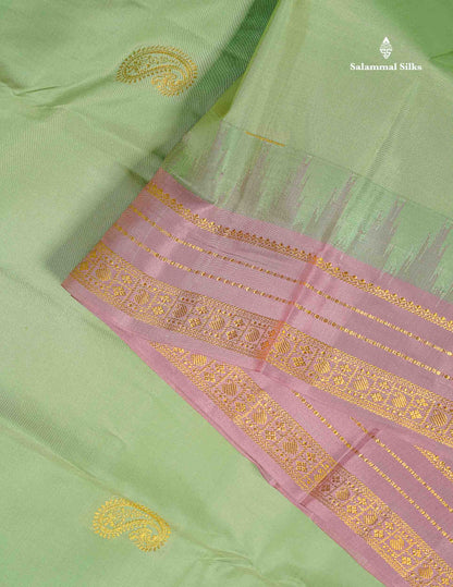 Pure Kanjivaram Silk Saree - Pista Green Colour Body With Contrast Light Lavender Temple Border