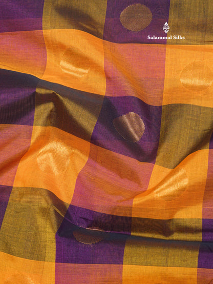 Paalum Pazham Checks Pure Silk Cotton Saree With Contrast Mustard Yellow Border