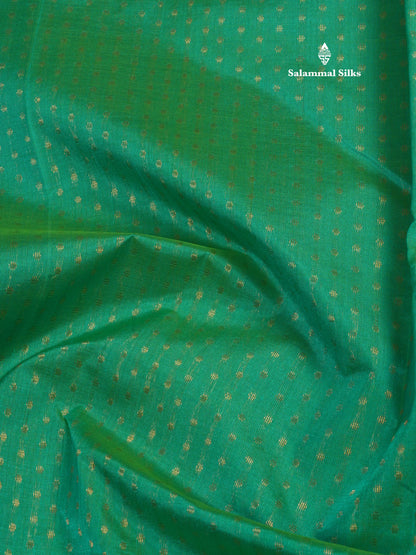 Sapphire Blue Pure Silk Cotton Saree With Contrast Royal Blue Fancy Border