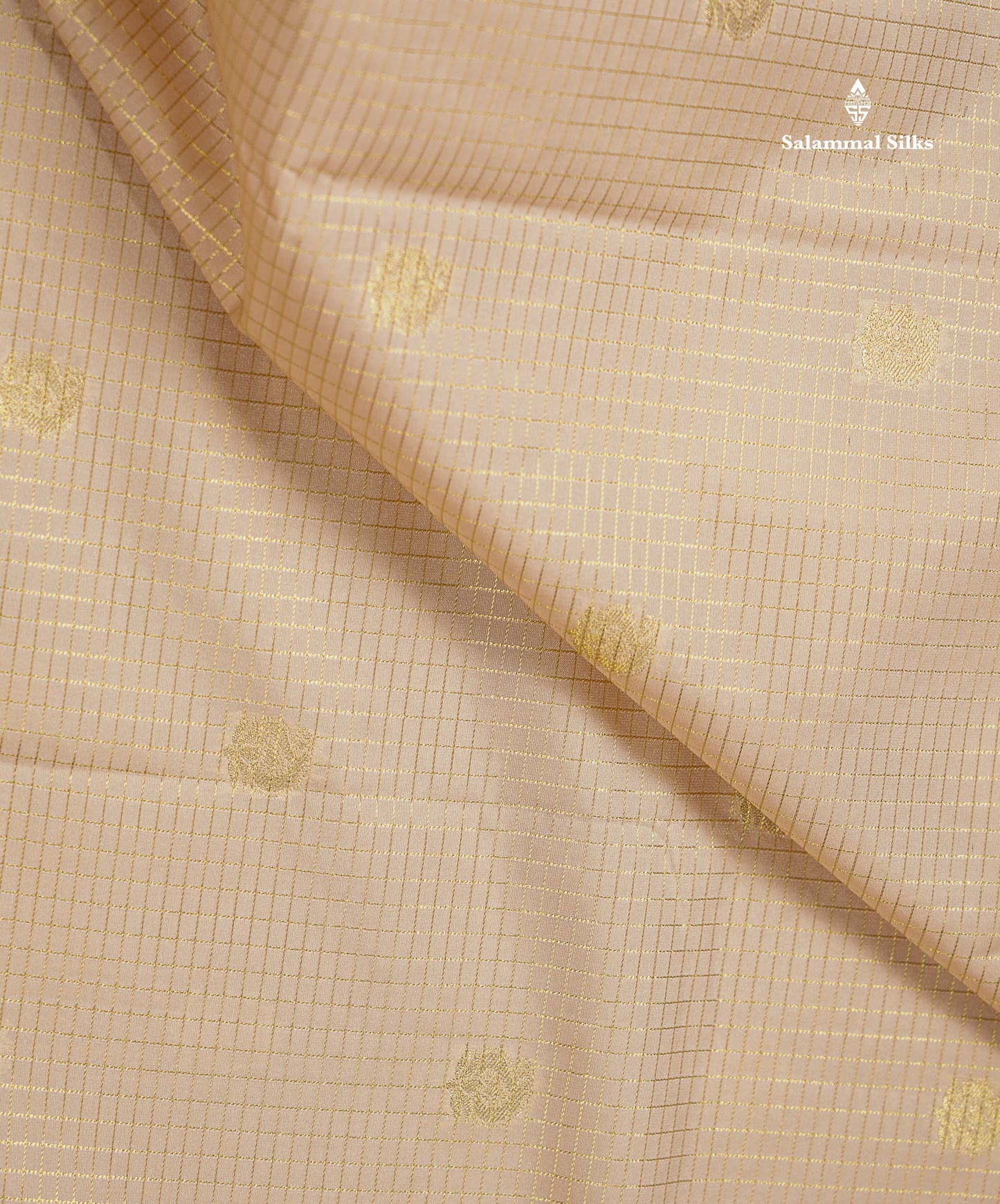Beige Small Checks With Butta Semi Silk Saree With Contrast Dark Brown Traditional Border