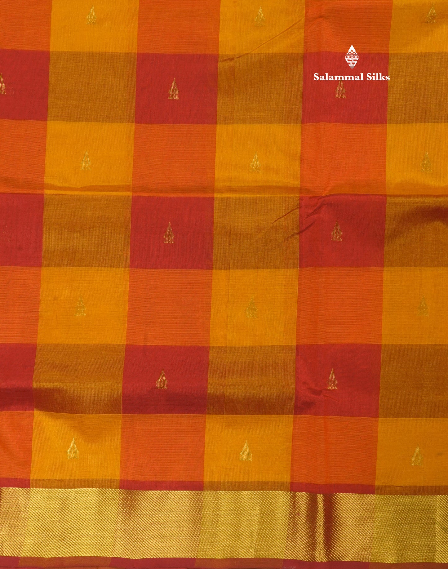 Paalum Pazham Checks Pure Silk Cotton Saree With Gold Zari Border