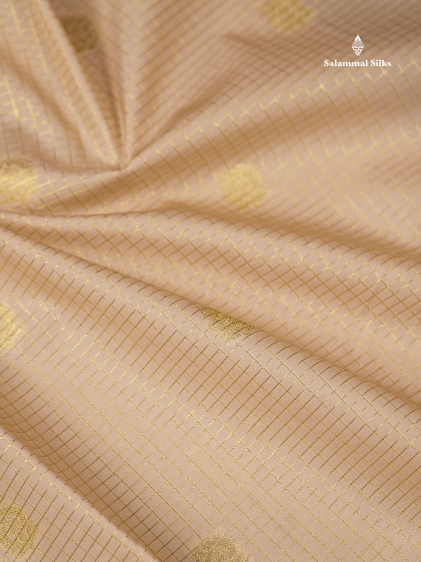 Beige Small Checks With Butta Semi Silk Saree With Contrast Dark Brown Traditional Border