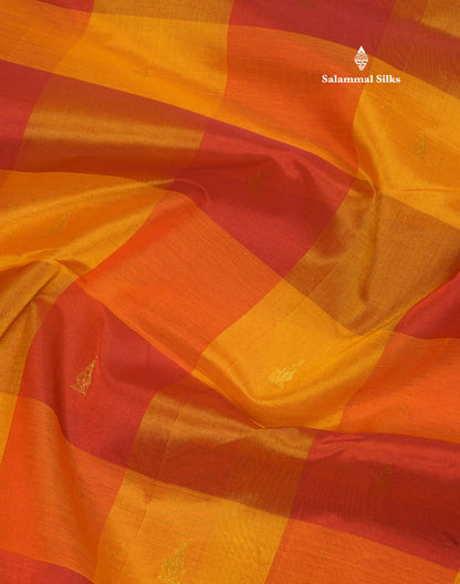 Paalum Pazham Checks Pure Silk Cotton Saree With Gold Zari Border