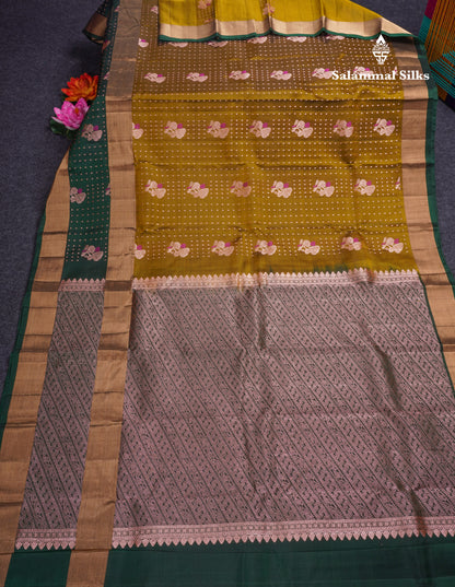 Olive Mustard Yellow Pure Silk Mix Saree With Contrast Bottle Green Border