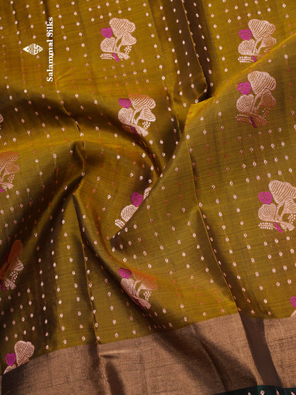 Olive Mustard Yellow Pure Silk Mix Saree With Contrast Bottle Green Border