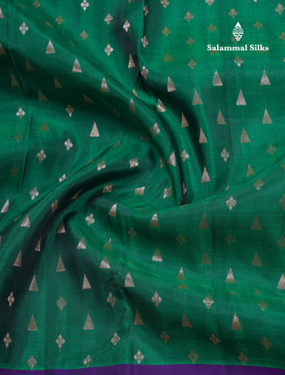 Green Shade Pure Silk Mix Saree With Contrast Violet Border