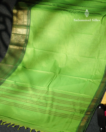 Beautiful Mehandi Green Plain Pure Chettinad Cotton Saree With Contrast Maroon Traditional Evening Morning Border