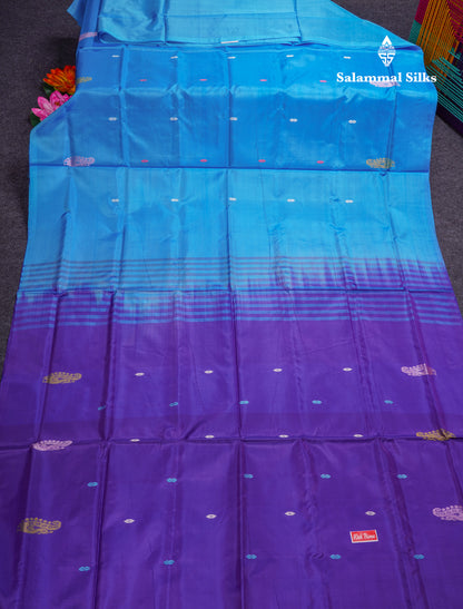 Sky Blue Banana Pinth Saree (Vaazhainaar Pattu) With Contrast Violet Blouse