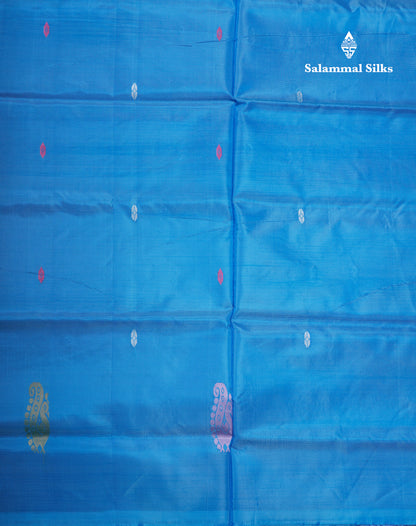 Sky Blue Banana Pinth Saree (Vaazhainaar Pattu) With Contrast Violet Blouse