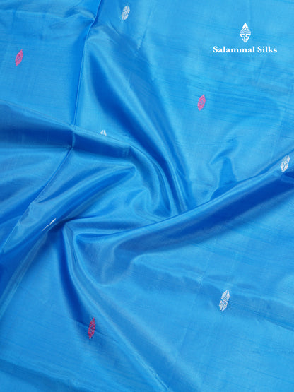 Sky Blue Banana Pinth Saree (Vaazhainaar Pattu) With Contrast Violet Blouse