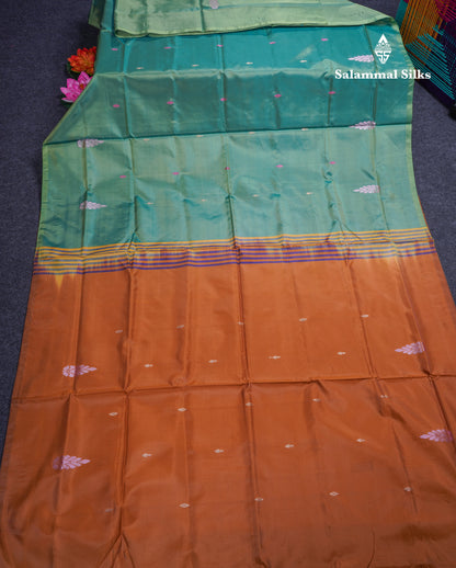 Light Green Banana Pinth Saree (Vaazhainaar Pattu) With Contrast Brown Blouse