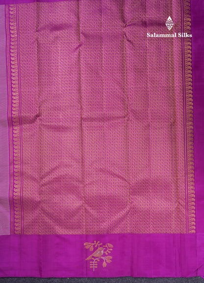Beige Fancy Pure Kanjivaram Silk Saree With Contrast Vadamalli Border