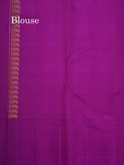 Beige Fancy Pure Kanjivaram Silk Saree With Contrast Vadamalli Border