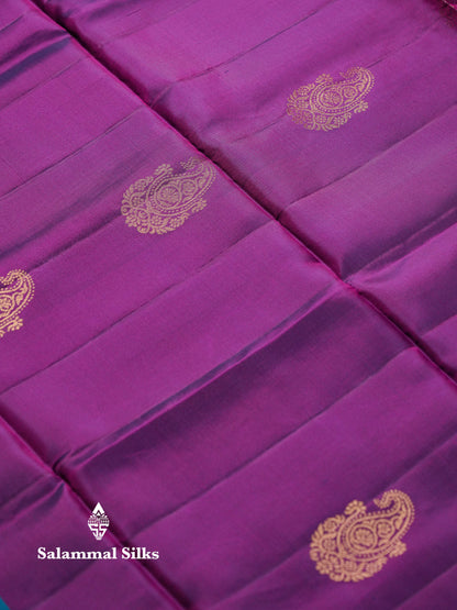 Beautiful Mehandi Green PureMix Kanjivaram Soft Silk Saree With Contrast Ink Blue Fancy Border