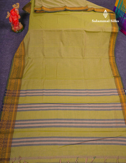 Beautiful Pista Green Small Checks Pure Cotton Saree With Traditional Evening Morning Border