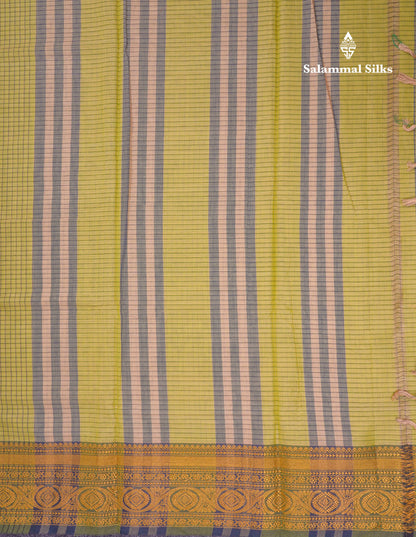 Beautiful Pista Green Small Checks Pure Cotton Saree With Traditional Evening Morning Border