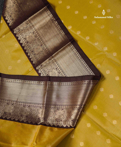 Semi Silk Saree - Olive Mustard Yellow Butta With Vaira Oosi Lines Along With Contrast Dark Brown Border